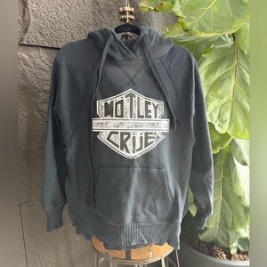 American Eagle Outfitters Dark Gray Graphic Hoodie